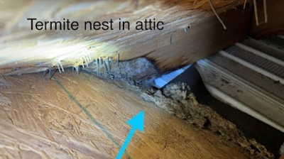 Upon a thorough inspection of this house we found these sneaky termites. Photo
